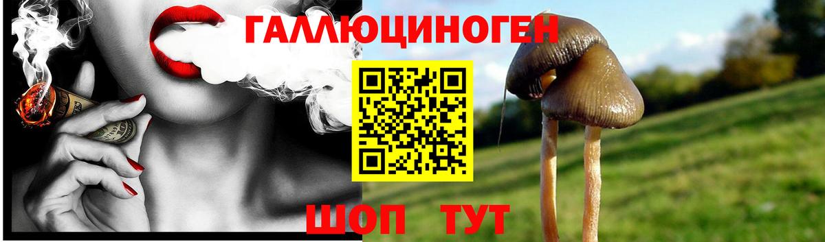 Псилоцибиновые грибы Cubensis  Вход с VPN  Изобильный 